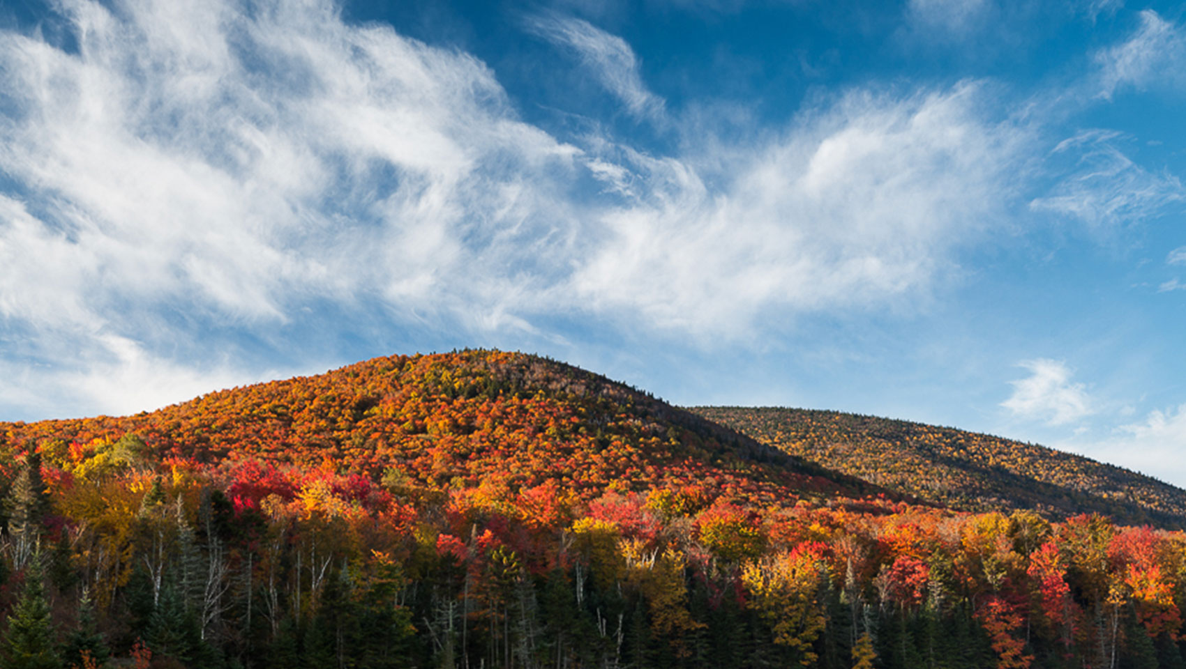hilltops with fall trees
