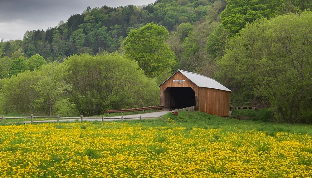 Vermont Spring