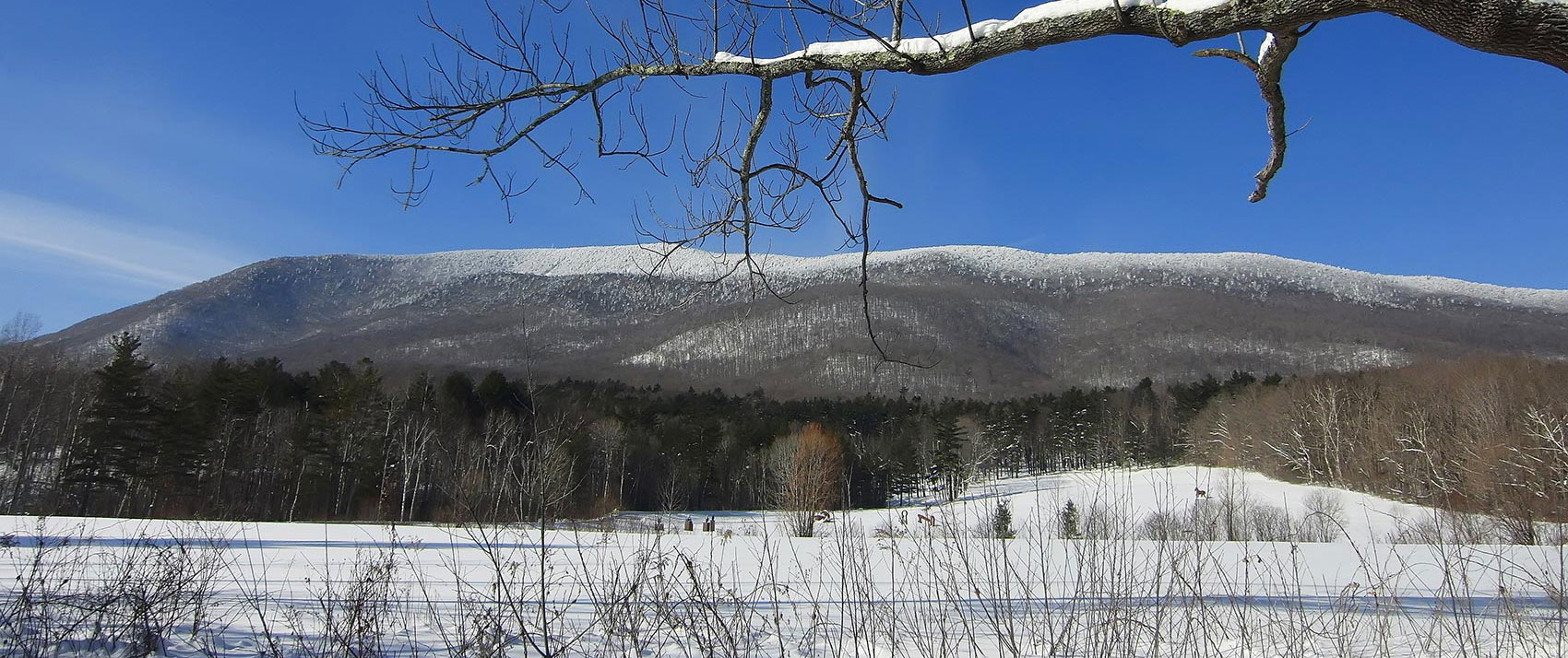Snowy Mountains in Vermont